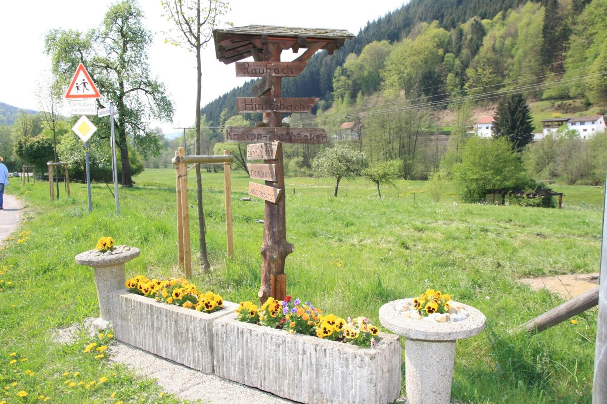 Gasthof Zur Traube Finkenbach Dış mekan fotoğraf